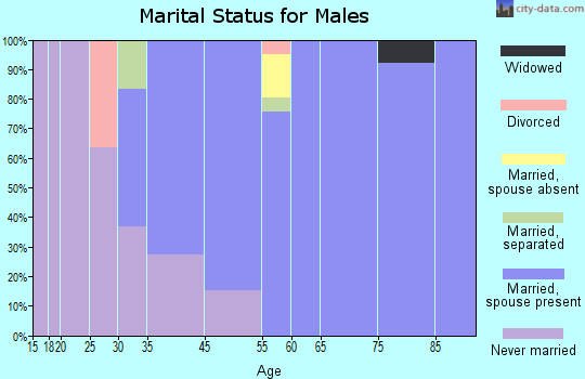Elmwood Park marital status for males