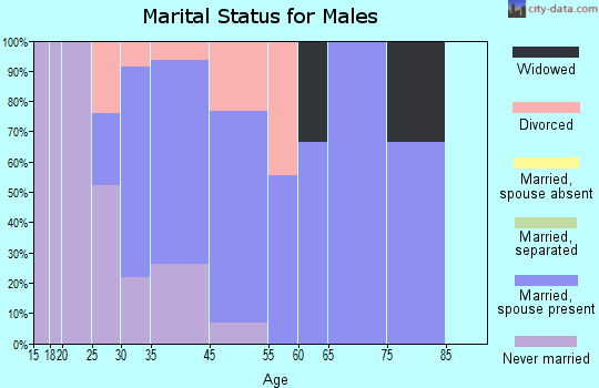 Ettrick marital status for males