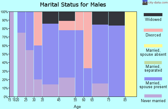 Haugen marital status for males