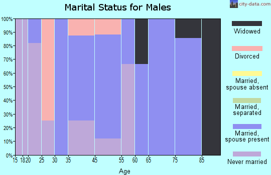 Hollandale marital status for males