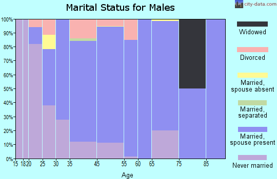 Horicon marital status for males