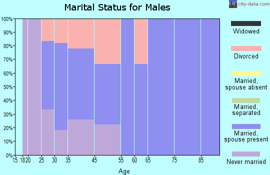 Ironton marital status for males