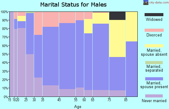 Ladysmith marital status for males