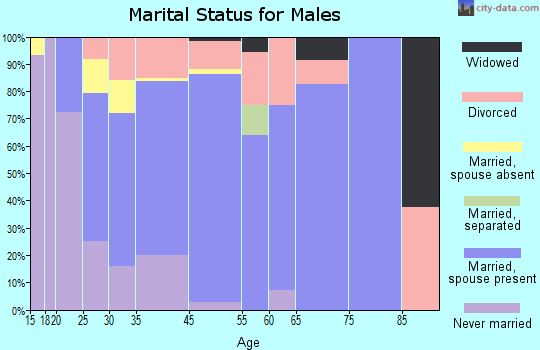 Lake Nebagamon marital status for males
