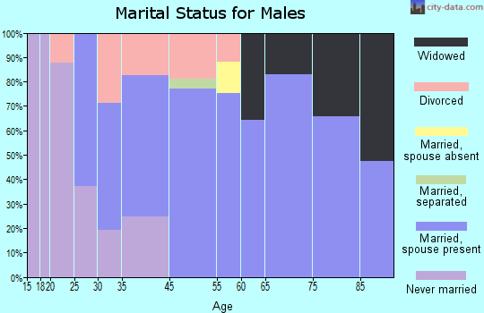 Lake Wissota marital status for males