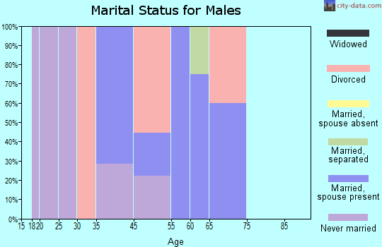 Lublin marital status for males