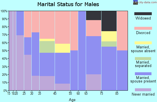 Lyndon Station marital status for males