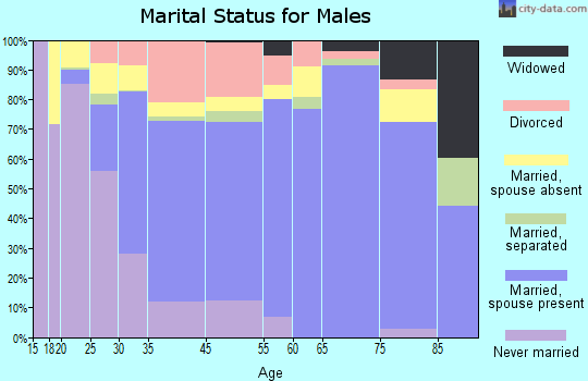 Menomonie marital status for males
