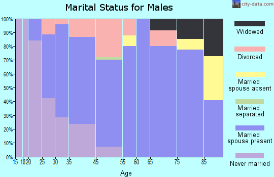 Mineral Point marital status for males