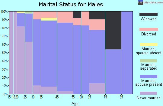 North Hudson marital status for males
