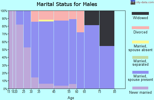 North Prairie marital status for males