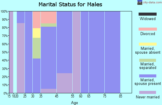 San Miguel marital status for males