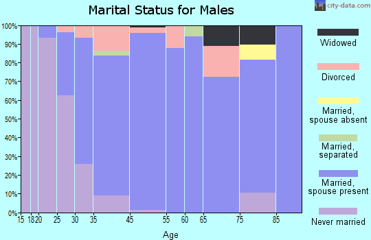 Paddock Lake marital status for males