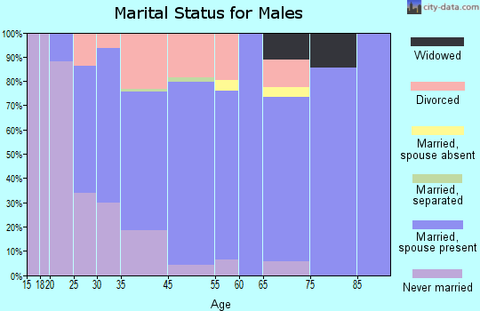 Palmyra marital status for males