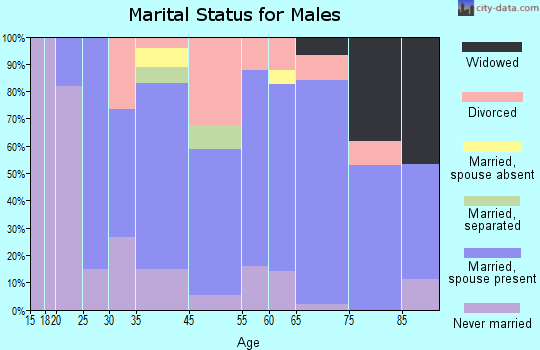 Park Falls marital status for males