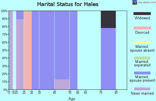 Patch Grove marital status for males