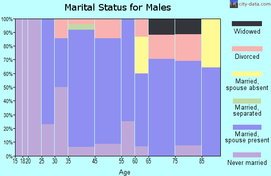 Plum City marital status for males