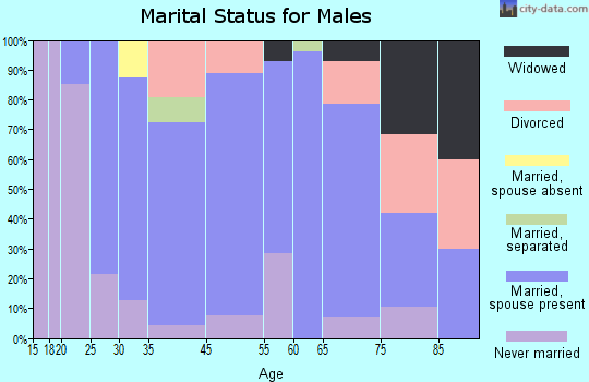 Potosi marital status for males