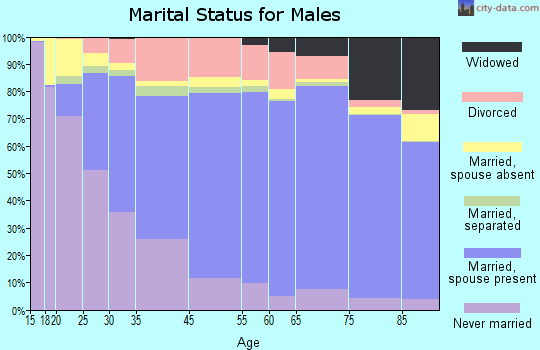 Racine marital status for males