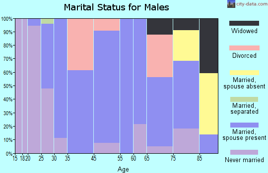 Rib Lake marital status for males