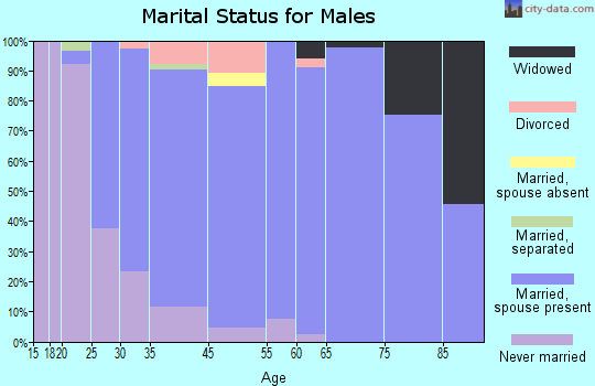 Rib Mountain marital status for males