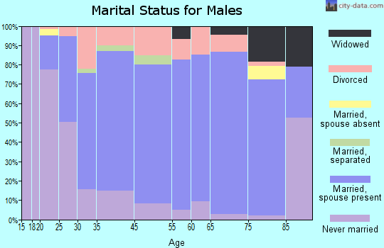 Rice Lake marital status for males