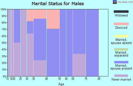 Rockdale marital status for males