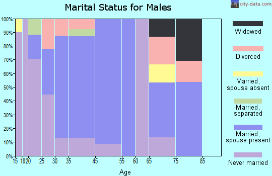 Rock Springs marital status for males