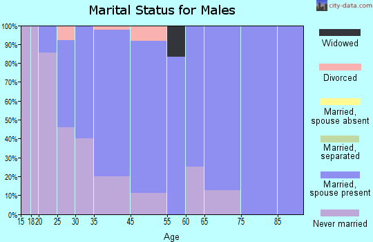 St. Cloud marital status for males