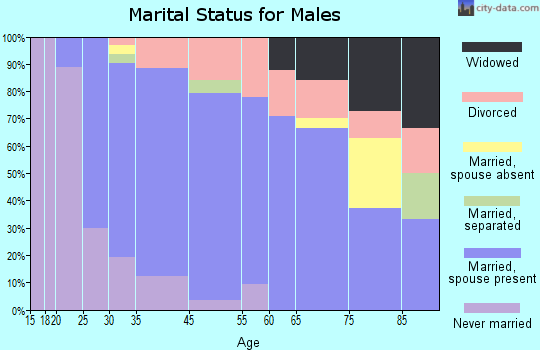 St. Croix Falls marital status for males
