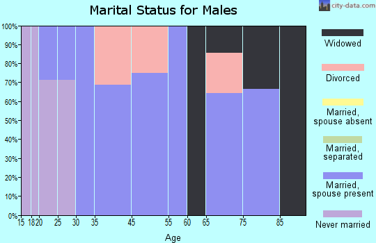 Sheldon marital status for males