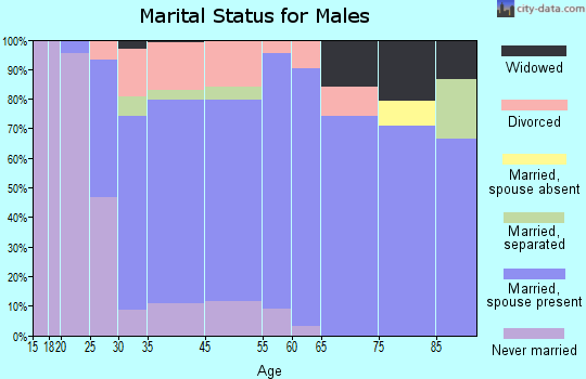 Silver Lake marital status for males