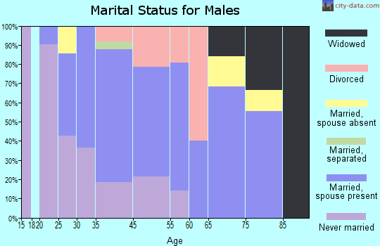 Solon Springs marital status for males