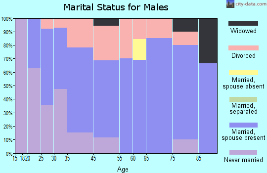 Somerset marital status for males