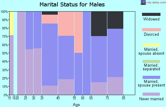 South Wayne marital status for males