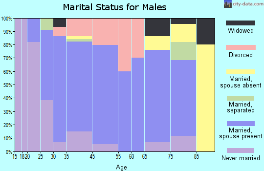 Spring Valley marital status for males