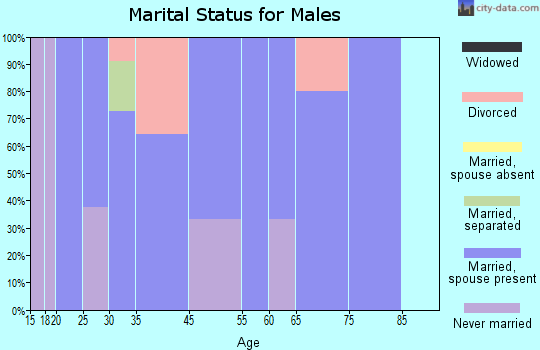 Steuben marital status for males