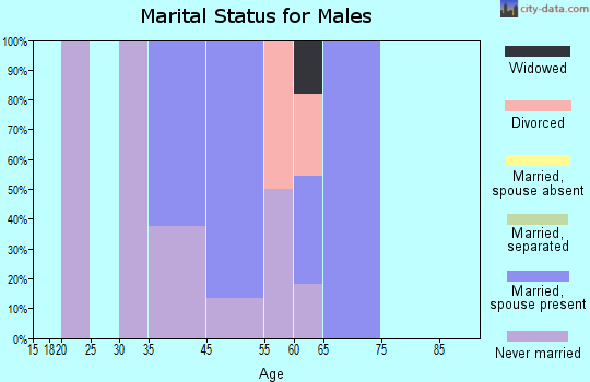 Stockholm marital status for males