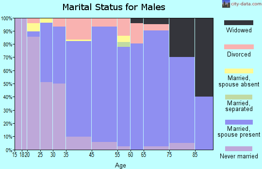 Tainter Lake marital status for males