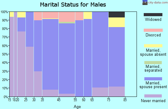 Verona marital status for males