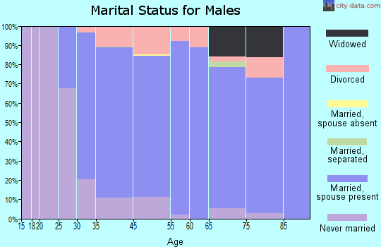 Waterford North marital status for males