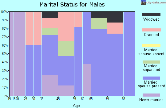 White Lake marital status for males