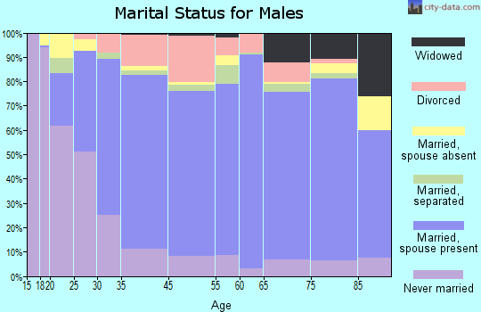 Wisconsin Rapids marital status for males