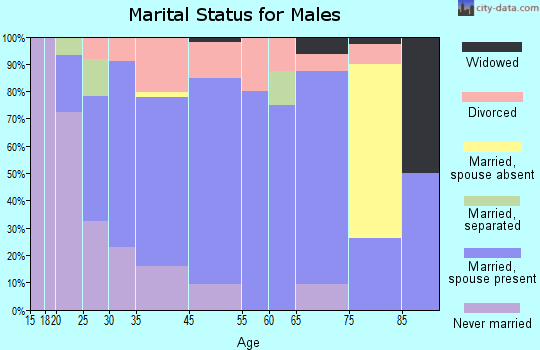 Wittenberg marital status for males