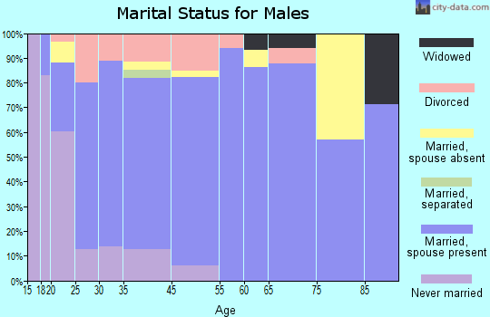 Afton marital status for males