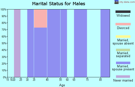 Airport Road marital status for males