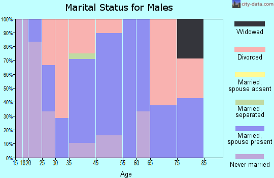 Baggs marital status for males