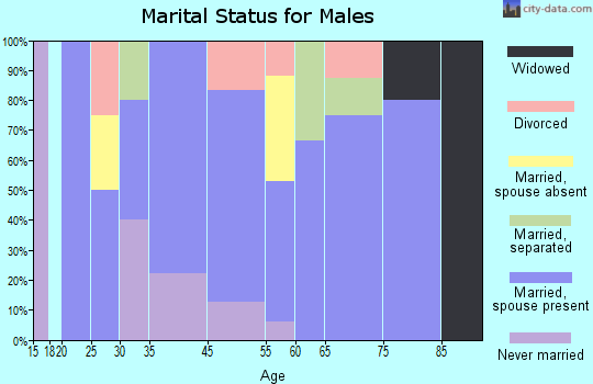 Hudson marital status for males