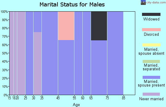 James Town marital status for males