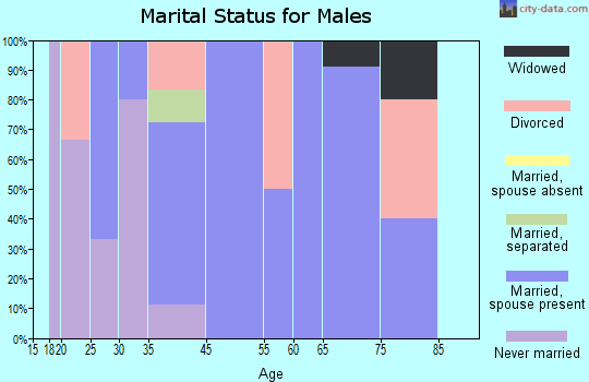 Johnstown marital status for males